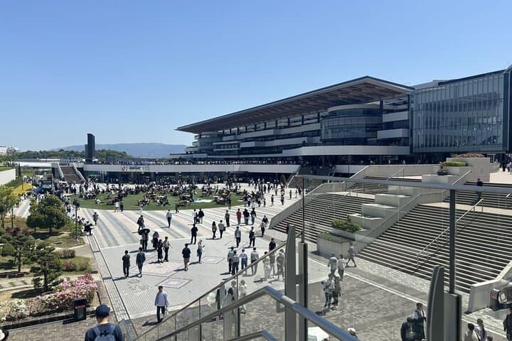 Horse Racing Tour with Local Fans in Nakayama Racecourse — photo 5