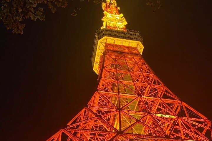 Tokyo Night Tour Customizable — photo 4