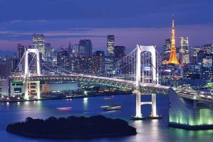 Tokyo Night Tour Customizable — photo 5
