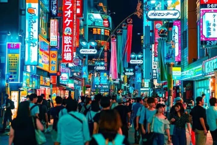 Tokyo Night Tour Customizable — photo 6