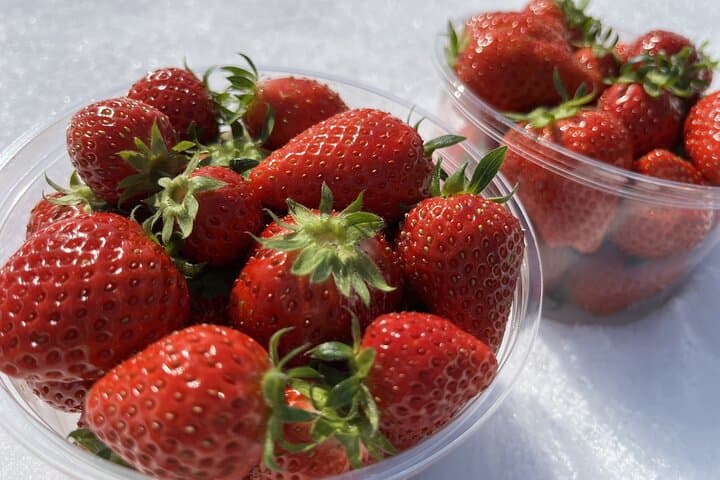 Winter Strawberry Picking & Tasting Experience (Near Sapporo)