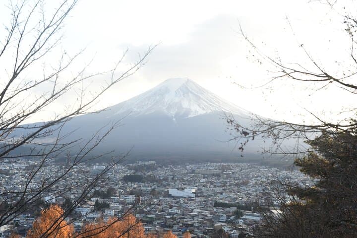 Mt Fuji and Kawaguchiko Private Tour — photo 6