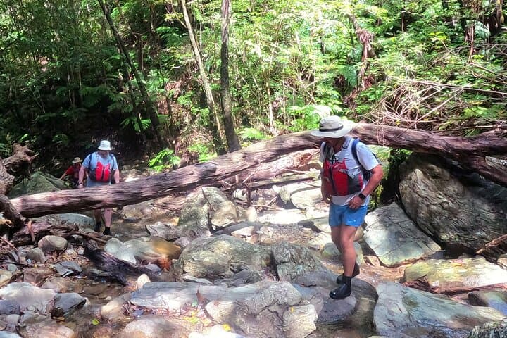 Okinawa Jungle Trails & Waterfalls – Private Yanbaru Tour — photo 2