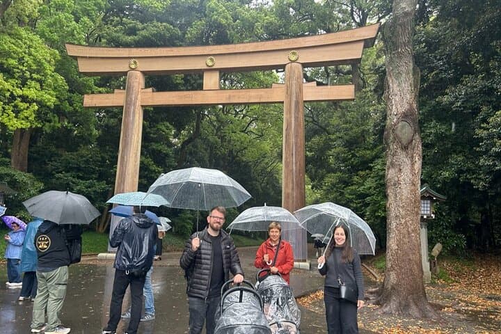 Tokyo Customized Private Tour – Explore Your Way in 1 Day — photo 16