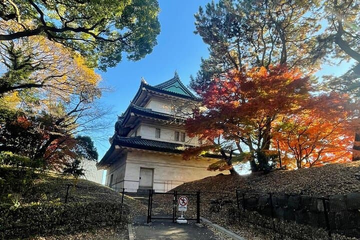 Private Guided Tour of Edo Castle Remains and East Gardens — photo 3