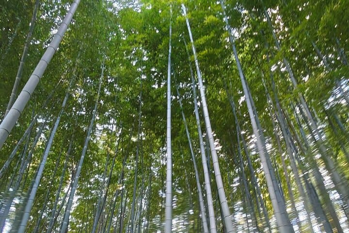 Guided Tour of Nagoya by Car — photo 19