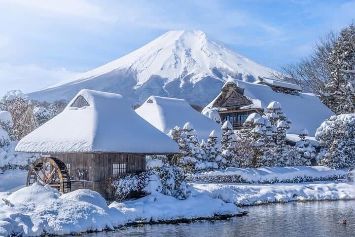 Mt. Fuji Private Day Trip from Tokyo with English-Speaking Driver — photo 2