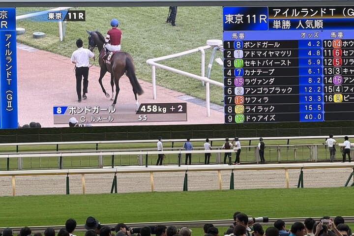 Horse Racing Tour with Local Fans in Nakayama Racecourse — photo 10