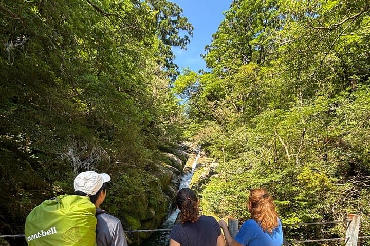 1 Day Shiratani Unsuikyo Adventure — photo 7