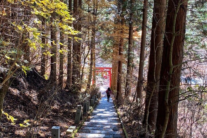 Private Hiking Tour to View Mt. Fuji — photo 5