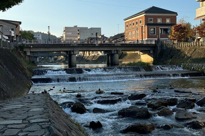 Takayama Early Morning Guided Walking Tour and Market Visit — photo 7