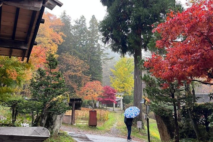 Takayama Early Morning Guided Walking Tour and Market Visit — photo 14