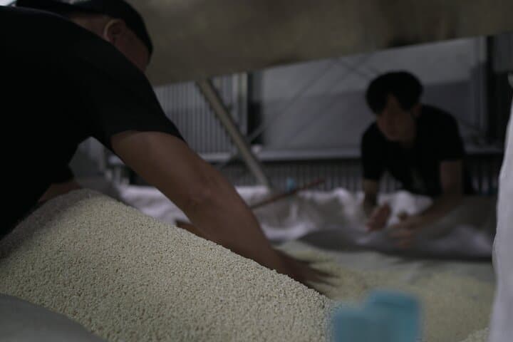 Inside Shochu Distillery and Tasting with a Local Expert — photo 3