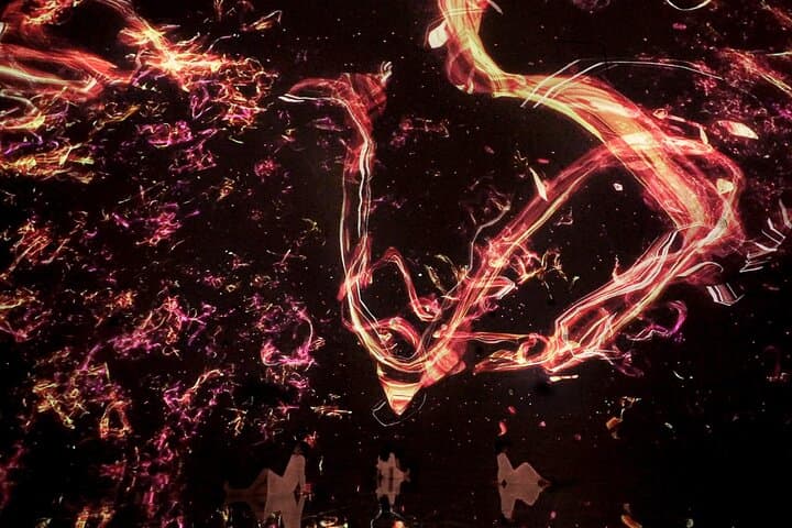 Discover Kyoto TeamLab Biovortex Experience — photo 1