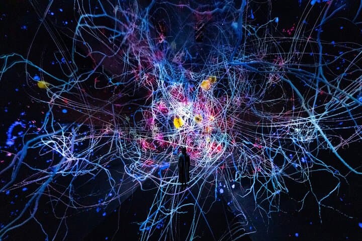 Discover Kyoto TeamLab Biovortex Experience — photo 3