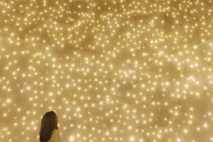 Discover Kyoto TeamLab Biovortex Experience — photo 5