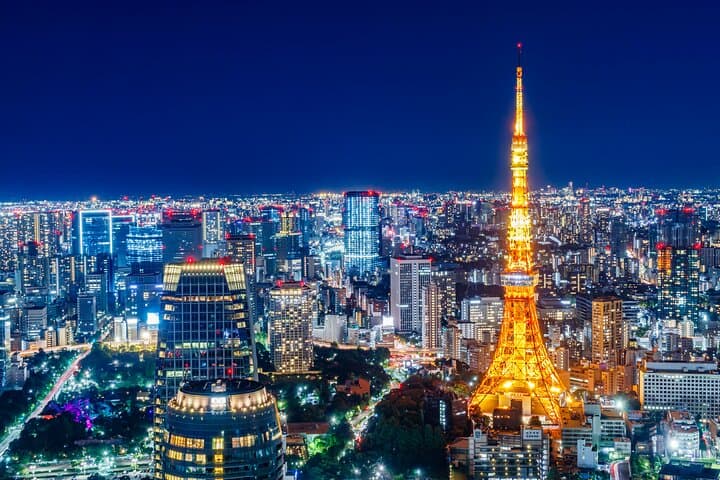 Tokyo Private and Personalized with Guide in Spanish or English — photo 6
