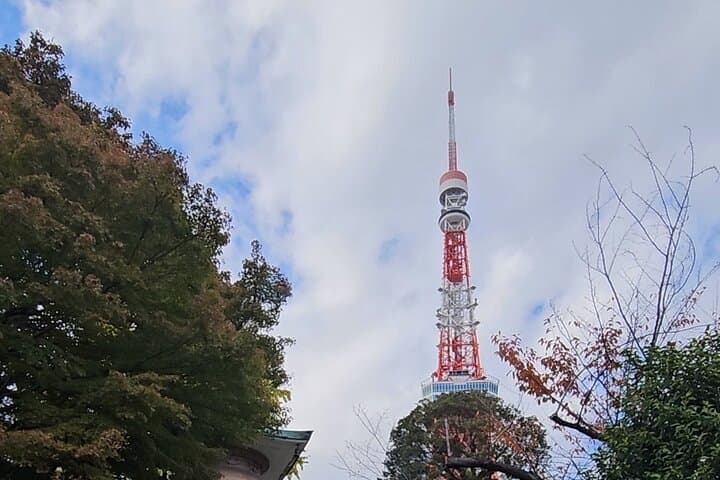 Tokyo Private Walking Tour with a Local — photo 7