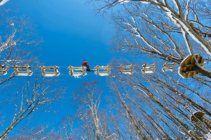 Powder Snow Zip Trip Experience with Transfer — photo 4