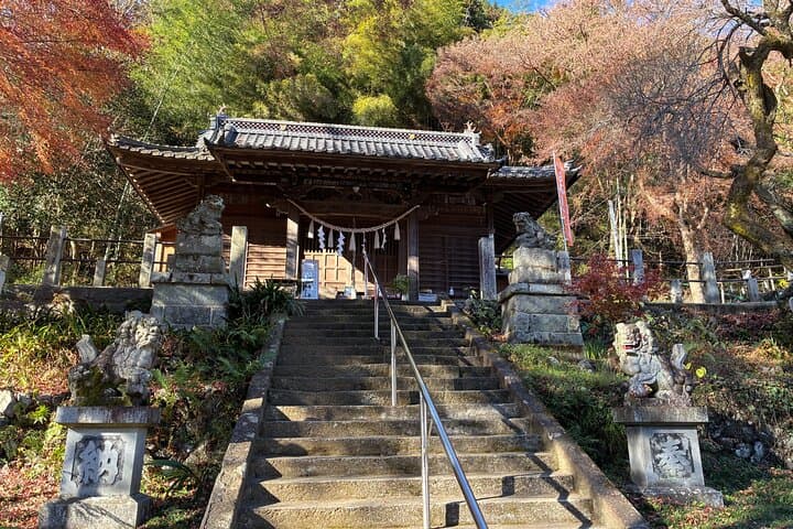 Half Day Hiking at Mt Takao Back to Shinjuku by Noon — photo 9