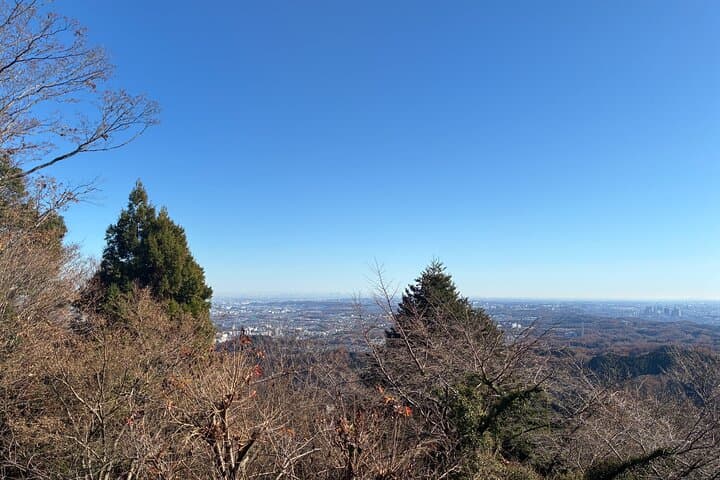 Half Day Hiking at Mt Takao Back to Shinjuku by Noon — photo 11