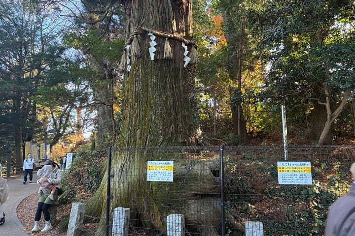 Half Day Hiking at Mt Takao Back to Shinjuku by Noon — photo 13