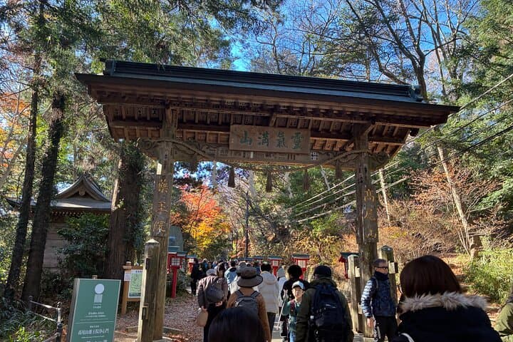 Half Day Hiking at Mt Takao Back to Shinjuku by Noon — photo 15