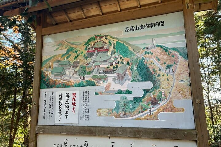 Half Day Hiking at Mt Takao Back to Shinjuku by Noon — photo 16