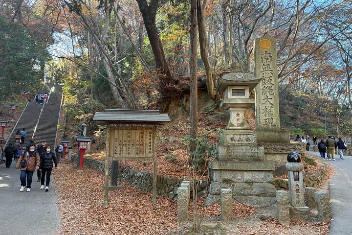 Half Day Hiking at Mt Takao Back to Shinjuku by Noon — photo 18