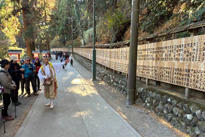 Half Day Hiking at Mt Takao Back to Shinjuku by Noon — photo 20