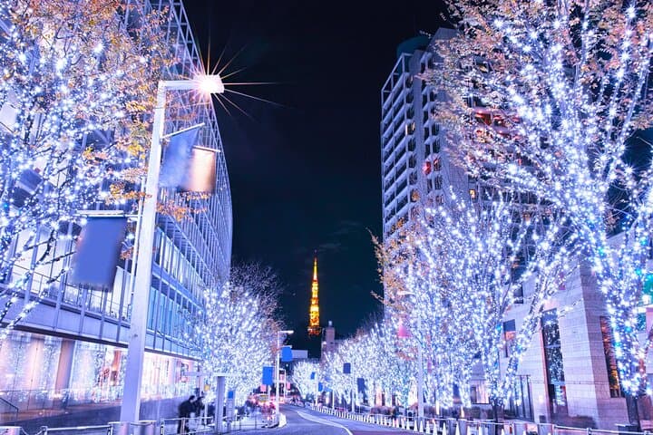 Private Walking Tour Tokyo Christmas Lights Cultural Route — photo 2