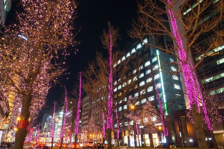 Sapporo Private Walking Christmas Market and Illumination Tour — photo 5