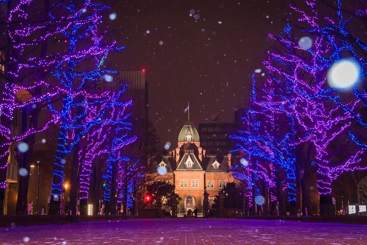 Sapporo Private Walking Christmas Market and Illumination Tour — photo 2