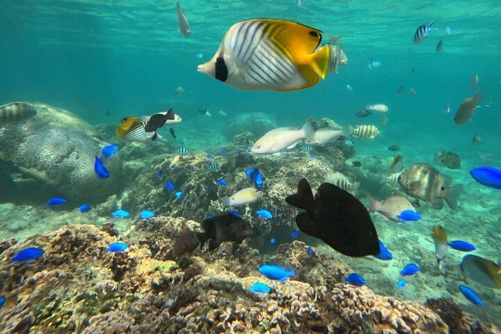 【 100% PRIVATE 】Okinawa Blue Cave Adventure FREE PHOTOs included — photo 3