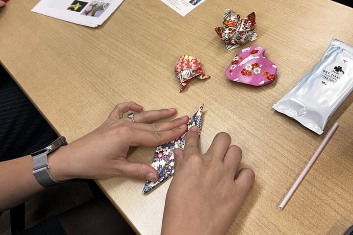 Learn Traditional Origami with a Local in Tokyo — photo 5