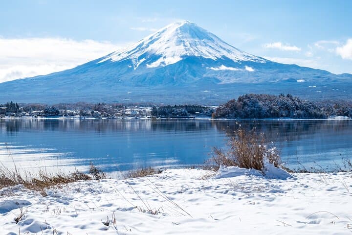 Mt. Fuji Highlight Photo Spots One Day Tour from Tokyo — photo 16