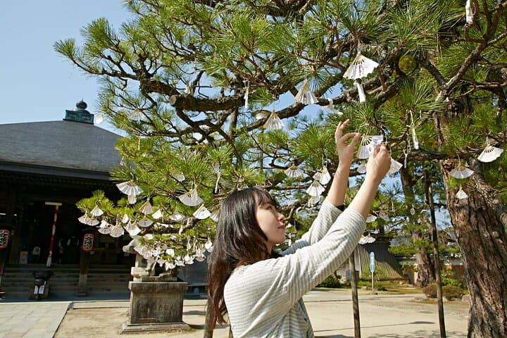 Kyoto Amanohashidate and Ine No Funaya Tour from Osaka — photo 12