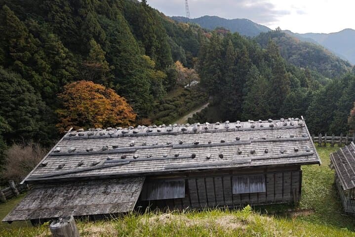 Nagoya: all-inclusive car tour to Korankei valley — photo 8