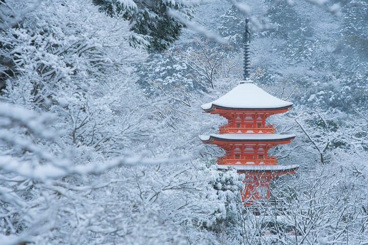 Best of Kyoto and Nara Highlights Day Tour from Osaka (7~9 spots) — photo 16