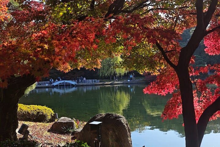 Nagoya: all-inclusive car tour to Korankei valley — photo 9