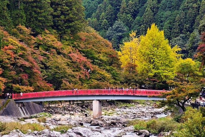 Nagoya: all-inclusive car tour to Korankei valley — photo 10