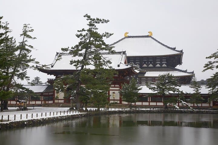 Best of Kyoto and Nara Highlights Day Tour from Osaka (7~9 spots) — photo 19