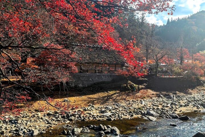Nagoya: all-inclusive car tour to Korankei valley — photo 11