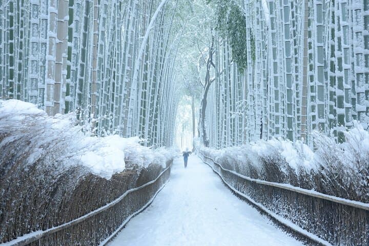 Best of Kyoto and Nara Highlights Day Tour from Osaka (7~9 spots) — photo 17
