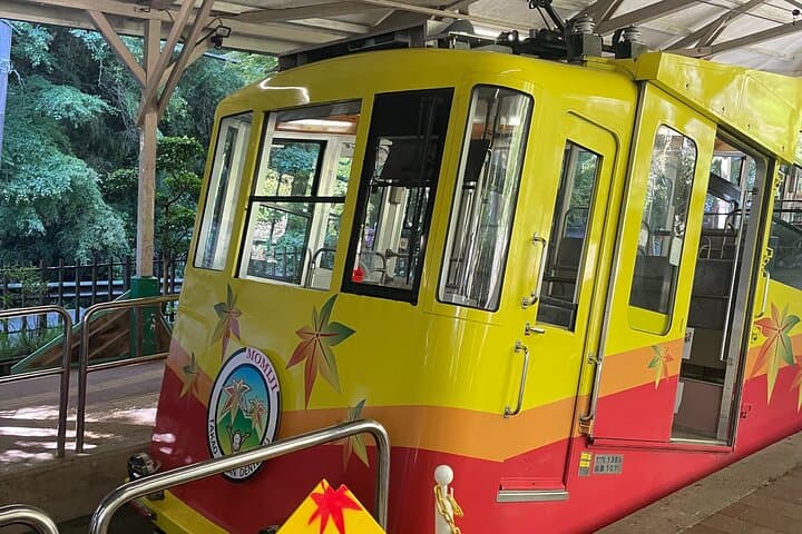 Half Day Hiking at Mt Takao Back to Shinjuku by Noon — photo 5