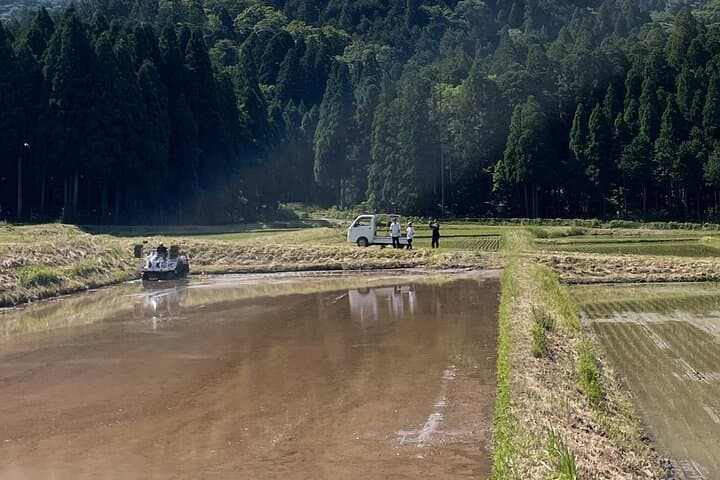 A Day in Rural Japan Farm Life in a Satoyama Mountain Village — photo 7
