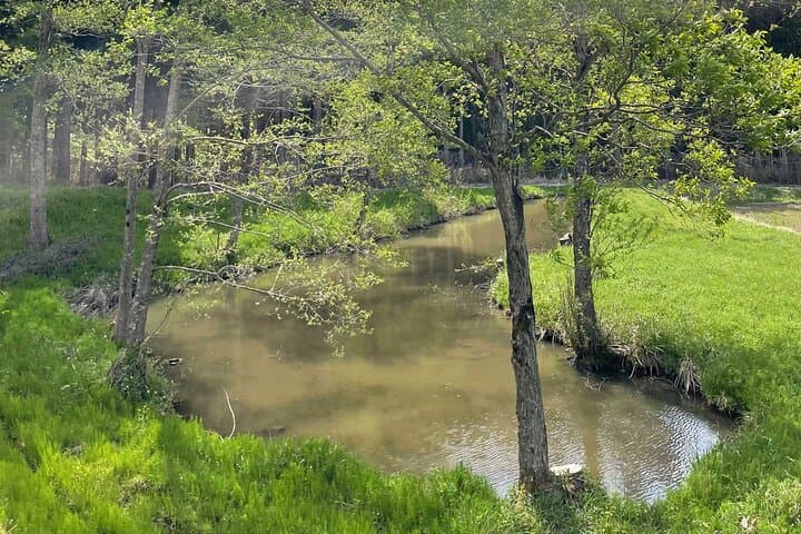 A Day in Rural Japan Farm Life in a Satoyama Mountain Village — photo 2