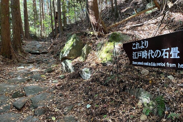 Hakone Old Tokaido Road Hiking Tour to Hakone Shrine — photo 5