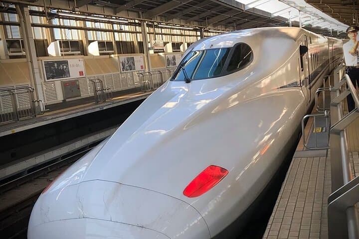 Kyoto Day Trip from Tokyo by Bullet Train Private Guided Tour — photo 1