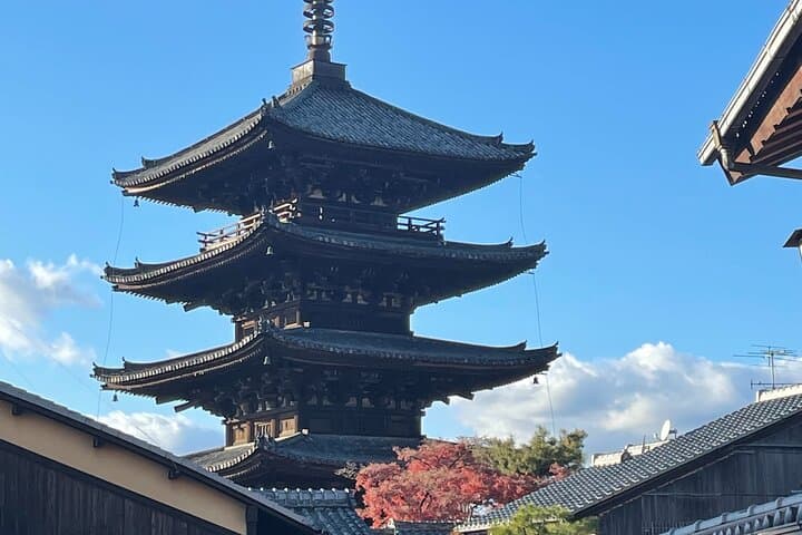 Kyoto Day Trip from Tokyo by Bullet Train Private Guided Tour — photo 11